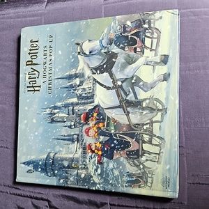Harry Potter christmas advent calendar